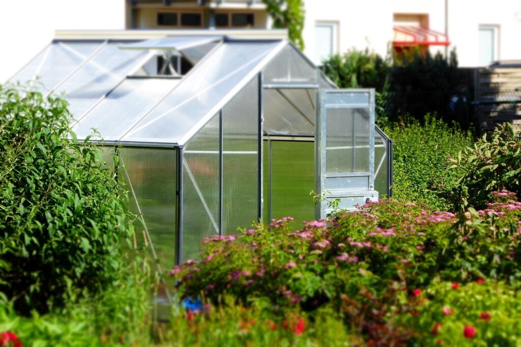 invernadero para jardinería